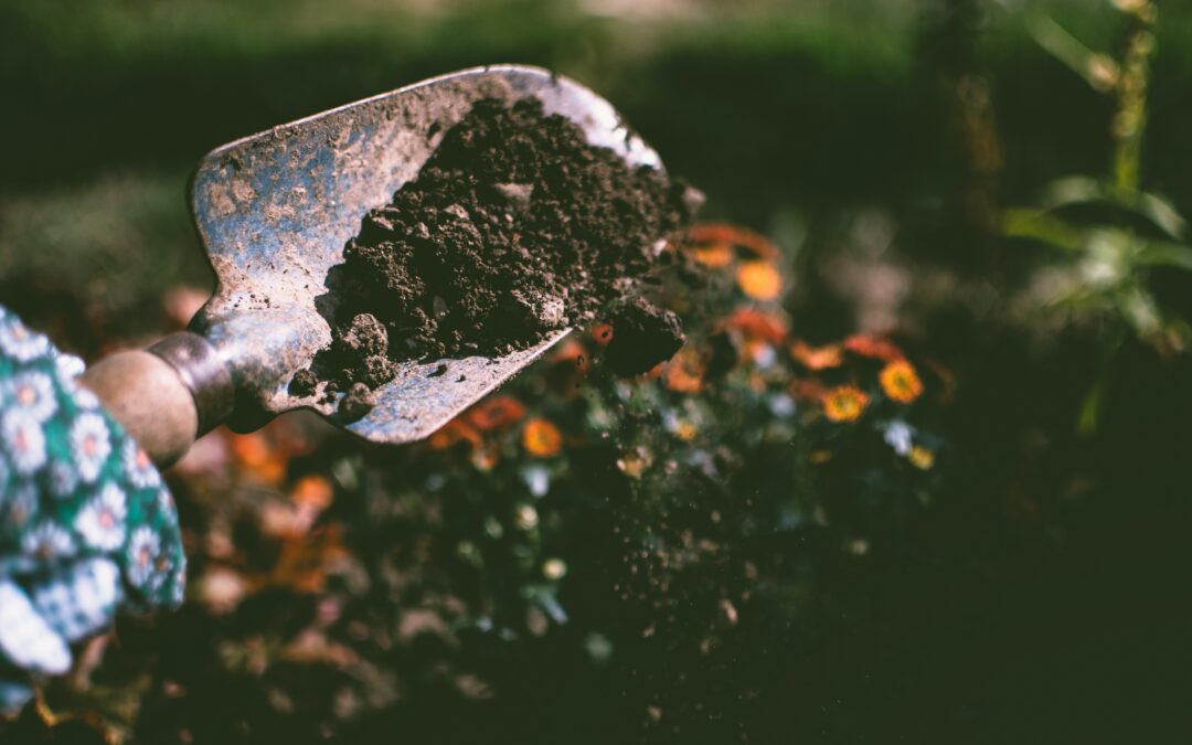 How To Test Soil PH & Amend Acidic or Alkaline Soil