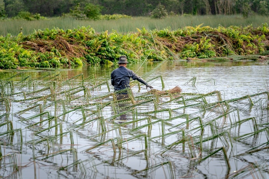 Regenerative Farming Practices