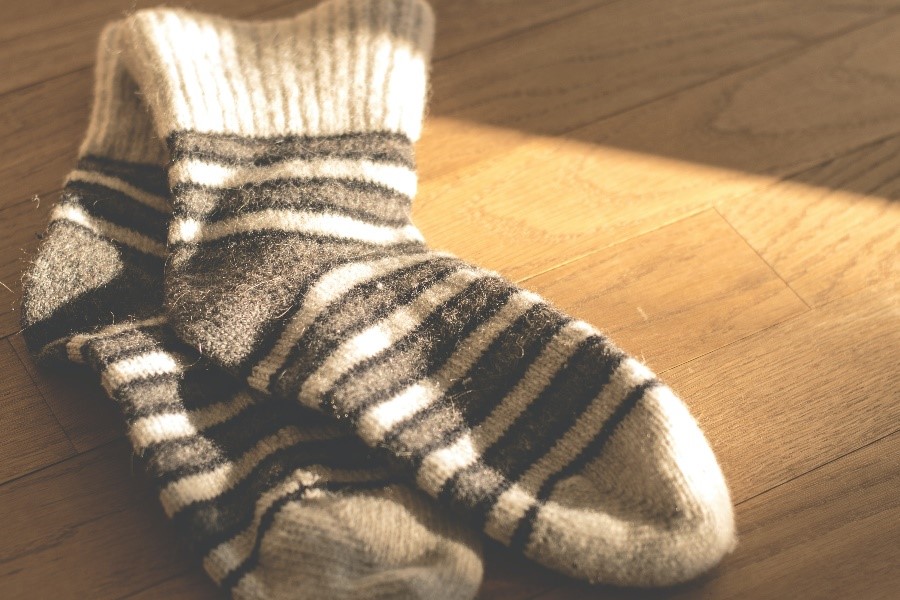 Donate Your Old Socks to One Company to Have Them Turned Into Dog Beds